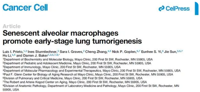 Cancer Cell-Senescent-文章截圖