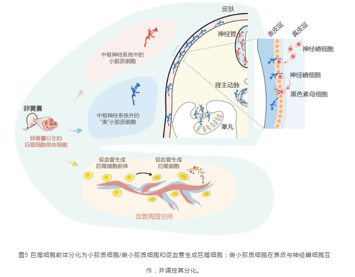 20230912-cell-結果截圖5